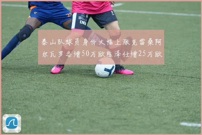 泰山队球员身价大幅上涨克雷桑阿尔瓦罗各增50万欧陈泽仕增25万欧